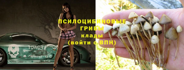 спайс Белокуриха